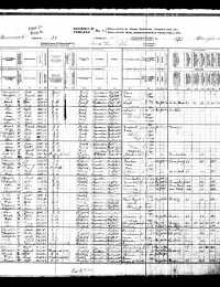 1911 CA Census