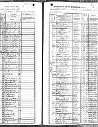 1905 US NY State Census (p2)