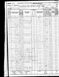 1870 US Fed Census (page 2)