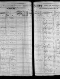 1875 US New York State Census