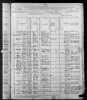 1880 US Federal Census