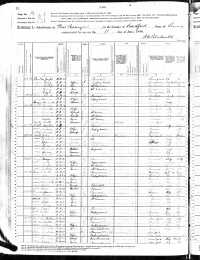 1880 US Federal Census (p1)