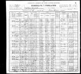 1900 US Fed Census (page 2)