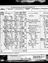 1881 Census (page 1)