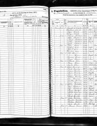 1875 US NY State Census