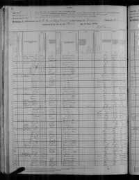 1880 US Federal Census (p2)