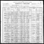 1900 US Federal census (p1)