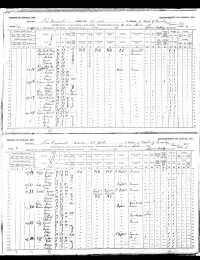 1891 CA Census
