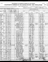 1920 US Federal Census (p1)