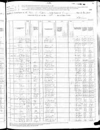 1880 US Federal Census (p1)