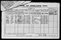 1901 Ireland Census