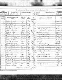 1871 Census