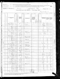 1880 US Fed Census (page 2)