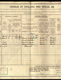 1911 Wales Census
