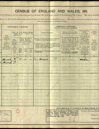 1911 Wales Census