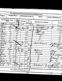 1861 Wales Census