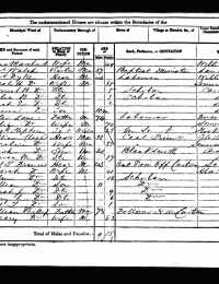 1871 Wales Census